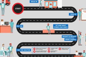 Pass Your DOT Physical: What to Expect Physical Health & Fitness – Boost Your Body, Energy, and Wellbeing Pass Your DOT Physical: What to Expect | Physical Health & Fitness – Boost Your Body, Energy, and Wellbeing
