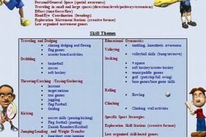 Essential Guide to Elementary PE Curriculum Design Safem Fabrication - Precision Engineering & Custom Manufacturing Solutions Essential Guide to Elementary PE Curriculum Design | Safem Fabrication - Precision Engineering & Custom Manufacturing Solutions