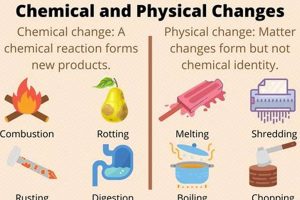 Study Guide: Physical & Chemical Changes Explained Physical Health & Fitness – Boost Your Body, Energy, and Wellbeing Study Guide: Physical & Chemical Changes Explained | Physical Health & Fitness – Boost Your Body, Energy, and Wellbeing