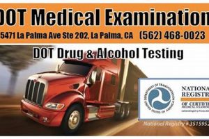 $80 DOT Physicals & Drug Tests: Get Certified Today! Physical Health & Fitness – Boost Your Body, Energy, and Wellbeing $80 DOT Physicals & Drug Tests: Get Certified Today! | Physical Health & Fitness – Boost Your Body, Energy, and Wellbeing