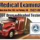 $80 DOT Physicals & Drug Tests: Get Certified Today! | Physical Health & Fitness – Boost Your Body, Energy, and Wellbeing