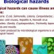 Workplace Hazards: Biological, Chemical & Physical Risks | Physical Health & Fitness – Boost Your Body, Energy, and Wellbeing