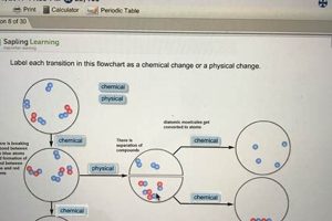 Understanding Chemical & Physical Change Flowcharts Physical Health & Fitness – Boost Your Body, Energy, and Wellbeing Understanding Chemical & Physical Change Flowcharts | Physical Health & Fitness – Boost Your Body, Energy, and Wellbeing