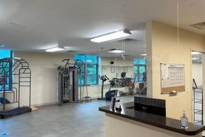 Best Physical Therapy Riverdale NY: Top Clinics Physical Health & Fitness – Boost Your Body, Energy, and Wellbeing Best Physical Therapy Riverdale NY: Top Clinics | Physical Health & Fitness – Boost Your Body, Energy, and Wellbeing