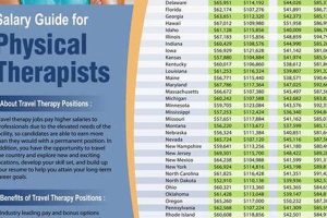 Maryland Physical Therapist Salary Guide & Outlook Physical Health & Fitness – Boost Your Body, Energy, and Wellbeing Maryland Physical Therapist Salary Guide & Outlook | Physical Health & Fitness – Boost Your Body, Energy, and Wellbeing