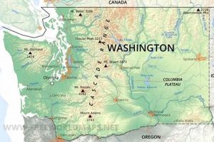 Explore Washington State's Physical Map & Terrain Physical Health & Fitness – Boost Your Body, Energy, and Wellbeing Explore Washington State's Physical Map & Terrain | Physical Health & Fitness – Boost Your Body, Energy, and Wellbeing