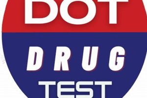 DOT Physical Drug Tests: What to Expect Physical Health & Fitness – Boost Your Body, Energy, and Wellbeing DOT Physical Drug Tests: What to Expect | Physical Health & Fitness – Boost Your Body, Energy, and Wellbeing