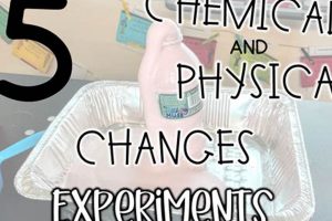 Exploring Chemical & Physical Changes Lab Physical Health & Fitness – Boost Your Body, Energy, and Wellbeing Exploring Chemical & Physical Changes Lab | Physical Health & Fitness – Boost Your Body, Energy, and Wellbeing