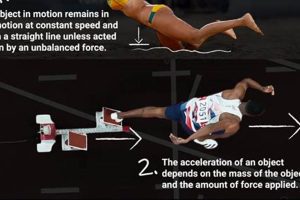 Unlock Your Potential: Physics in Sports Explained Safem Fabrication - Precision Engineering & Custom Manufacturing Solutions Unlock Your Potential: Physics in Sports Explained | Safem Fabrication - Precision Engineering & Custom Manufacturing Solutions