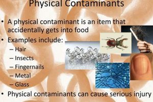 Common Physical Contaminants: Examples & Prevention Safem Fabrication - Precision Engineering & Custom Manufacturing Solutions Common Physical Contaminants: Examples & Prevention | Safem Fabrication - Precision Engineering & Custom Manufacturing Solutions