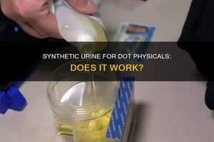 Does Synthetic Urine Work for DOT Physicals? The Truth Physical Health & Fitness – Boost Your Body, Energy, and Wellbeing Does Synthetic Urine Work for DOT Physicals? The Truth | Physical Health & Fitness – Boost Your Body, Energy, and Wellbeing