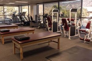 Best Functional Physical Therapy Arcadia CA Clinics | Physical Health & Fitness – Boost Your Body, Energy, and Wellbeing