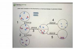 Understanding Chemical & Physical Changes Flowchart Physical Health & Fitness – Boost Your Body, Energy, and Wellbeing Understanding Chemical & Physical Changes Flowchart | Physical Health & Fitness – Boost Your Body, Energy, and Wellbeing