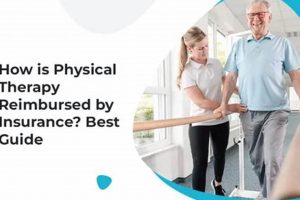 Understanding Physical Therapy Insurance Reimbursement | Physical Health & Fitness – Boost Your Body, Energy, and Wellbeing