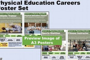 Best Physical Education Jobs in NJ Now Hiring! Safem Fabrication - Precision Engineering & Custom Manufacturing Solutions Best Physical Education Jobs in NJ Now Hiring! | Safem Fabrication - Precision Engineering & Custom Manufacturing Solutions