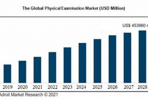 Global Physical Examination Rate Trends & Insights Safem Fabrication - Precision Engineering & Custom Manufacturing Solutions Global Physical Examination Rate Trends & Insights | Safem Fabrication - Precision Engineering & Custom Manufacturing Solutions