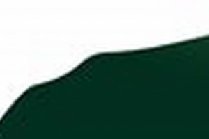 Top Berkshire Sports & Physical Therapy Clinics Safem Fabrication - Precision Engineering & Custom Manufacturing Solutions Top Berkshire Sports & Physical Therapy Clinics | Safem Fabrication - Precision Engineering & Custom Manufacturing Solutions
