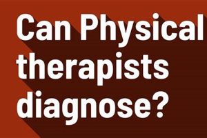 Can Physical Therapists Diagnose Injuries? Safem Fabrication - Precision Engineering & Custom Manufacturing Solutions Can Physical Therapists Diagnose Injuries? | Safem Fabrication - Precision Engineering & Custom Manufacturing Solutions
