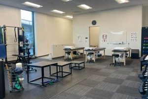 Top Berkeley Physical Therapy Clinics in CA Safem Fabrication - Precision Engineering & Custom Manufacturing Solutions Top Berkeley Physical Therapy Clinics in CA | Safem Fabrication - Precision Engineering & Custom Manufacturing Solutions