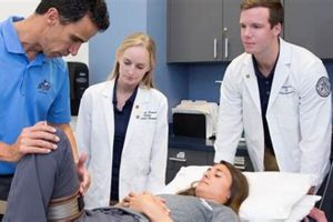 Are Physical Therapists Doctors? PT vs MD Explained Safem Fabrication - Precision Engineering & Custom Manufacturing Solutions Are Physical Therapists Doctors? PT vs MD Explained | Safem Fabrication - Precision Engineering & Custom Manufacturing Solutions