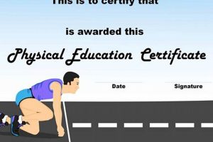 Become a Certified PE Teacher: Your Complete Guide Safem Fabrication - Precision Engineering & Custom Manufacturing Solutions Become a Certified PE Teacher: Your Complete Guide | Safem Fabrication - Precision Engineering & Custom Manufacturing Solutions