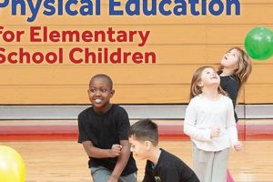 The Power of Dynamic Physical Education Activities Safem Fabrication - Precision Engineering & Custom Manufacturing Solutions The Power of Dynamic Physical Education Activities | Safem Fabrication - Precision Engineering & Custom Manufacturing Solutions