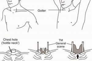 The Complete Endocrinologist Physical Exam Guide Safem Fabrication - Precision Engineering & Custom Manufacturing Solutions The Complete Endocrinologist Physical Exam Guide | Safem Fabrication - Precision Engineering & Custom Manufacturing Solutions