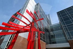 Exploring Biomedical & Physical Sciences Careers Safem Fabrication - Precision Engineering & Custom Manufacturing Solutions Exploring Biomedical & Physical Sciences Careers | Safem Fabrication - Precision Engineering & Custom Manufacturing Solutions