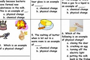 Free Physical & Chemical Changes Worksheet (+ Answers) Safem Fabrication - Precision Engineering & Custom Manufacturing Solutions Free Physical & Chemical Changes Worksheet (+ Answers) | Safem Fabrication - Precision Engineering & Custom Manufacturing Solutions