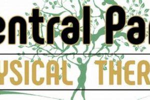 Top Central Park Physical Therapy NYC Clinics Safem Fabrication - Precision Engineering & Custom Manufacturing Solutions Top Central Park Physical Therapy NYC Clinics | Safem Fabrication - Precision Engineering & Custom Manufacturing Solutions