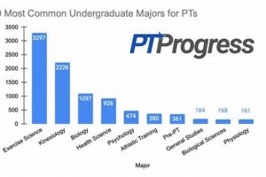 Best Pre-PT Majors for Physical Therapy Success Safem Fabrication - Precision Engineering & Custom Manufacturing Solutions Best Pre-PT Majors for Physical Therapy Success | Safem Fabrication - Precision Engineering & Custom Manufacturing Solutions