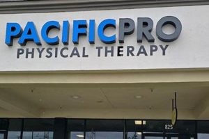 Best Physical Therapy in Chino Hills, CA | Safem Fabrication - Precision Engineering & Custom Manufacturing Solutions