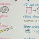 Best Physical & Chemical Changes Anchor Chart Guide | Physical Health & Fitness – Boost Your Body, Energy, and Wellbeing