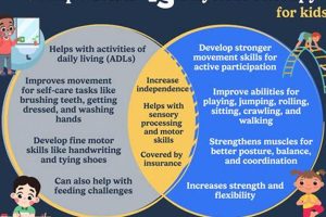 OT vs. PTA: Choosing Your Rehab Career Physical Health & Fitness – Boost Your Body, Energy, and Wellbeing OT vs. PTA: Choosing Your Rehab Career | Physical Health & Fitness – Boost Your Body, Energy, and Wellbeing