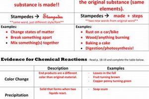 Worksheet Answers: Physical & Chemical Changes Key | Physical Health & Fitness – Boost Your Body, Energy, and Wellbeing