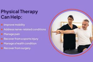 Can a PT Treat 3 Patients at Once? Physical Health & Fitness – Boost Your Body, Energy, and Wellbeing Can a PT Treat 3 Patients at Once? | Physical Health & Fitness – Boost Your Body, Energy, and Wellbeing