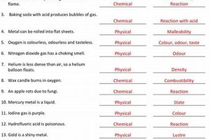 Worksheet Answers: Physical & Chemical Properties Key | Physical Health & Fitness – Boost Your Body, Energy, and Wellbeing
