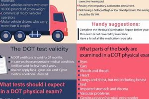 DOT Physical Exams: What Tests to Expect | Physical Health & Fitness – Boost Your Body, Energy, and Wellbeing
