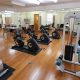 Best Physical Therapy in Rego Park NY: Top Clinics | Physical Health & Fitness – Boost Your Body, Energy, and Wellbeing