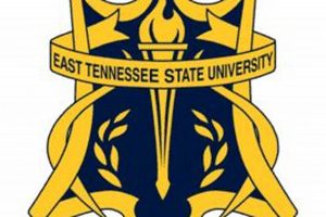 Top East Tennessee State Physical Therapy Clinics Physical Health & Fitness – Boost Your Body, Energy, and Wellbeing Top East Tennessee State Physical Therapy Clinics | Physical Health & Fitness – Boost Your Body, Energy, and Wellbeing