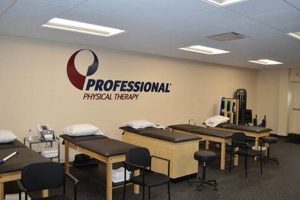 Top Franklin Square Physical Therapy in NY Physical Health & Fitness – Boost Your Body, Energy, and Wellbeing Top Franklin Square Physical Therapy in NY | Physical Health & Fitness – Boost Your Body, Energy, and Wellbeing