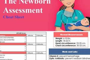 Essential Newborn Physical Exam Templates & Guides | Physical Health & Fitness – Boost Your Body, Energy, and Wellbeing