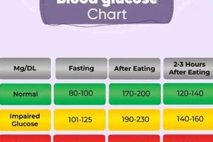 DOT Physical & Blood Sugar: Acceptable Levels Guide Physical Health & Fitness – Boost Your Body, Energy, and Wellbeing DOT Physical & Blood Sugar: Acceptable Levels Guide | Physical Health & Fitness – Boost Your Body, Energy, and Wellbeing