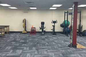 Best Physical Therapy in Levittown, NY | Top Rated Physical Health & Fitness – Boost Your Body, Energy, and Wellbeing Best Physical Therapy in Levittown, NY | Top Rated | Physical Health & Fitness – Boost Your Body, Energy, and Wellbeing