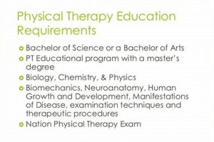 Become a Physical Therapy Technician: Education & Requirements Physical Health & Fitness – Boost Your Body, Energy, and Wellbeing Become a Physical Therapy Technician: Education & Requirements | Physical Health & Fitness – Boost Your Body, Energy, and Wellbeing