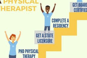 What Degree Do I Need To Be A Physical Therapist Physical Health & Fitness – Boost Your Body, Energy, and Wellbeing What Degree Do I Need To Be A Physical Therapist | Physical Health & Fitness – Boost Your Body, Energy, and Wellbeing