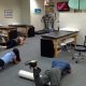 Top Irvine Sports Physical Therapy | PacificPro | Physical Health & Fitness – Boost Your Body, Energy, and Wellbeing
