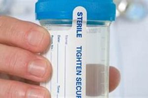 Does a DOT Physical Include a Drug Test? Physical Health & Fitness – Boost Your Body, Energy, and Wellbeing Does a DOT Physical Include a Drug Test? | Physical Health & Fitness – Boost Your Body, Energy, and Wellbeing