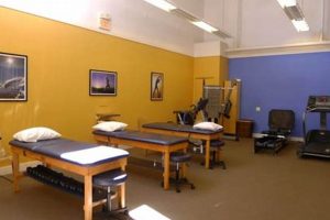 Renew Physical Therapy: Mill Valley, CA | Expert PT Physical Health & Fitness – Boost Your Body, Energy, and Wellbeing Renew Physical Therapy: Mill Valley, CA | Expert PT | Physical Health & Fitness – Boost Your Body, Energy, and Wellbeing