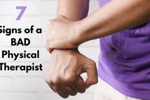 5 Signs You Need a New Physical Therapist Safem Fabrication - Precision Engineering & Custom Manufacturing Solutions 5 Signs You Need a New Physical Therapist | Safem Fabrication - Precision Engineering & Custom Manufacturing Solutions